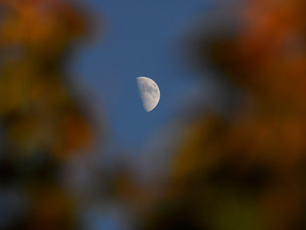 5pm_moon